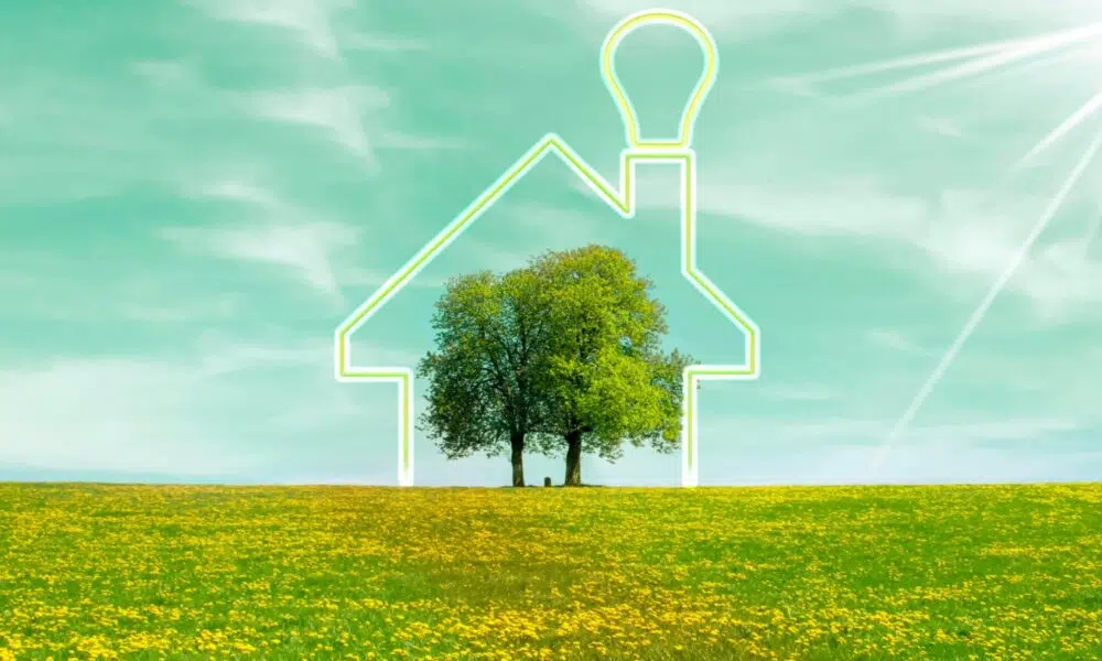 Concept de la maison verte