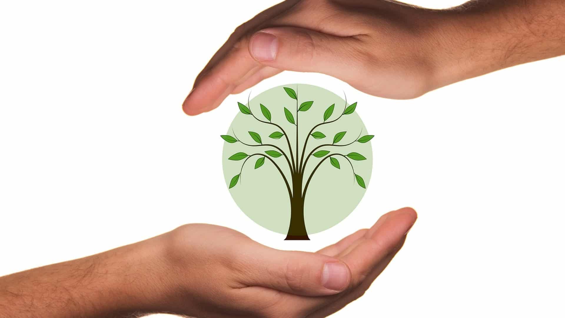 Comment parvenir au zéro déchet chez soi ?