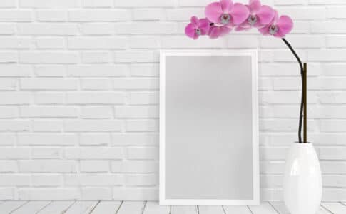 Idée déco : Et si vous optiez pour la décoration Corse ?