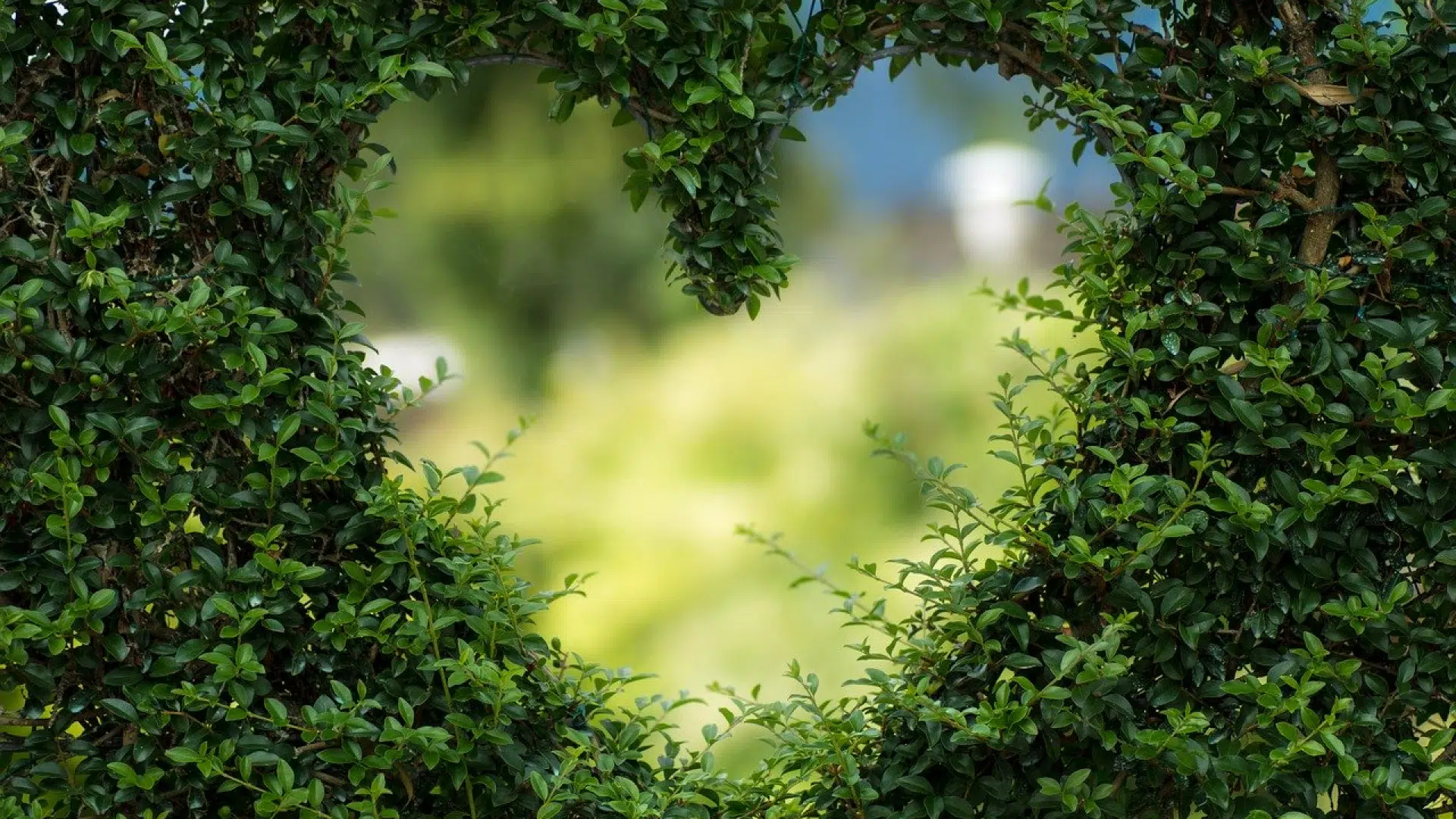 Immo : les atouts de passer par des experts en rez-de-jardin